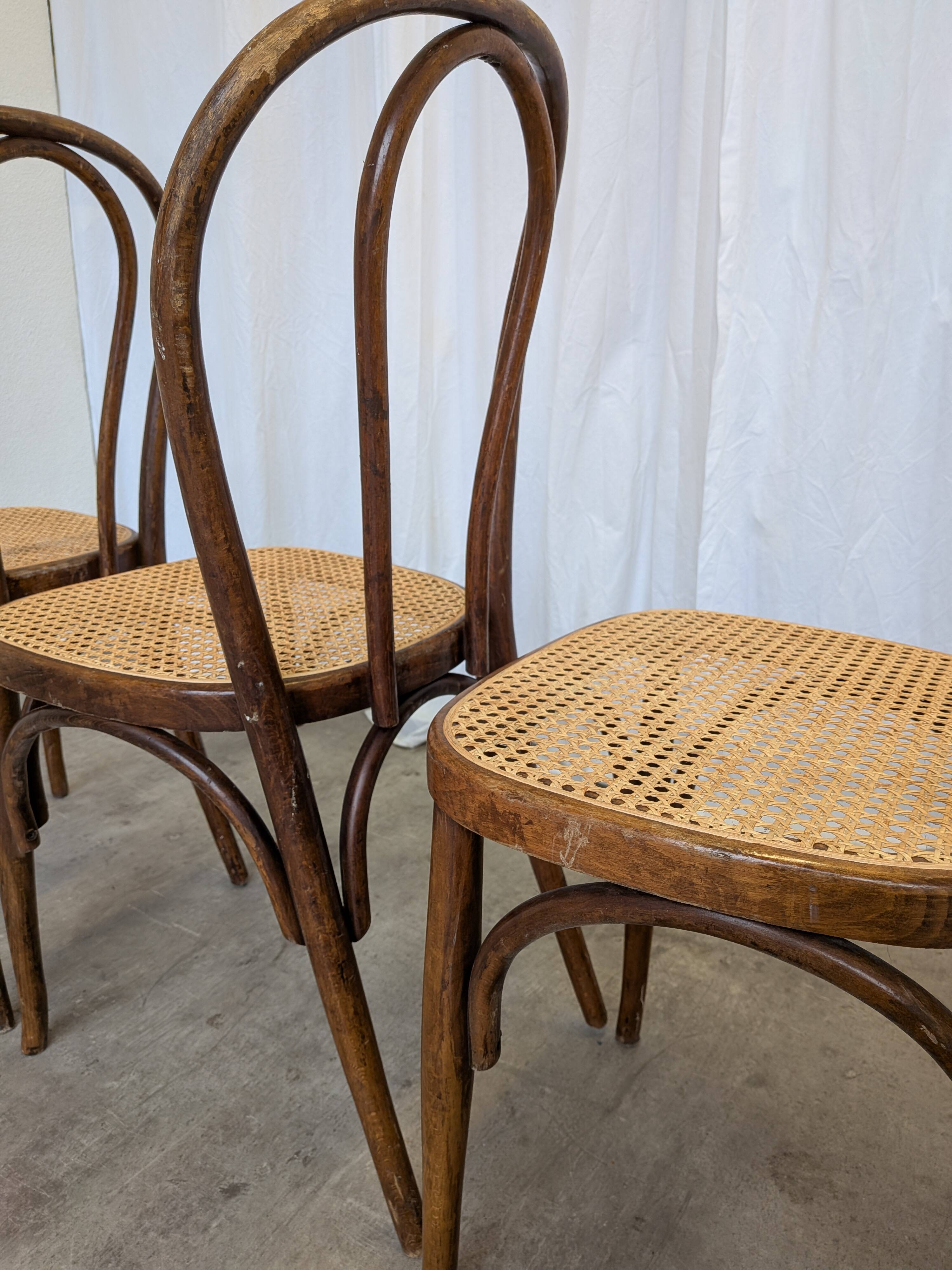 Set of 4 Vintage Thonet Style Dining Chairs: Bentwood Cane Seat, 1970s Bist