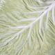 Dish in earthenware "chou leaf" Bordallo Pinheiro, 32 cm