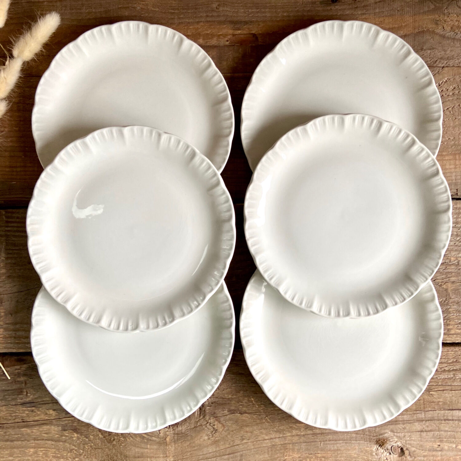 6 Digoin Sarreguemines dessert plates