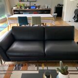 Roche Bobois sofa