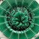 4 old plates in Sarreguemines vine leaf slip