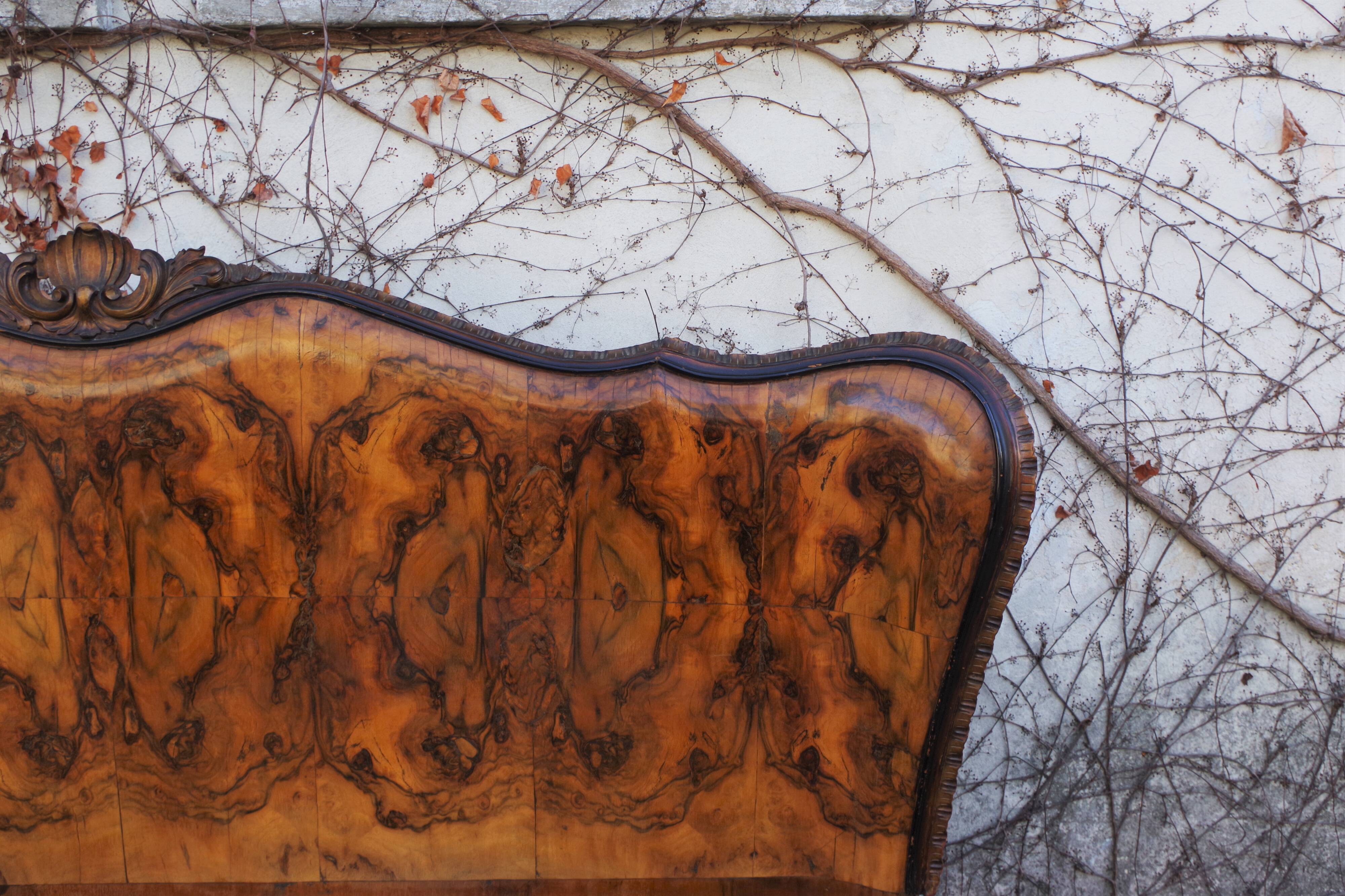 Rounded Walnut Burl Double Bed, 1950s