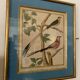 Lot de 7 gravures oiseaux