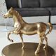 Large vintage horse in exercise figurine on oval base, in polished brass 26 x 19 cm