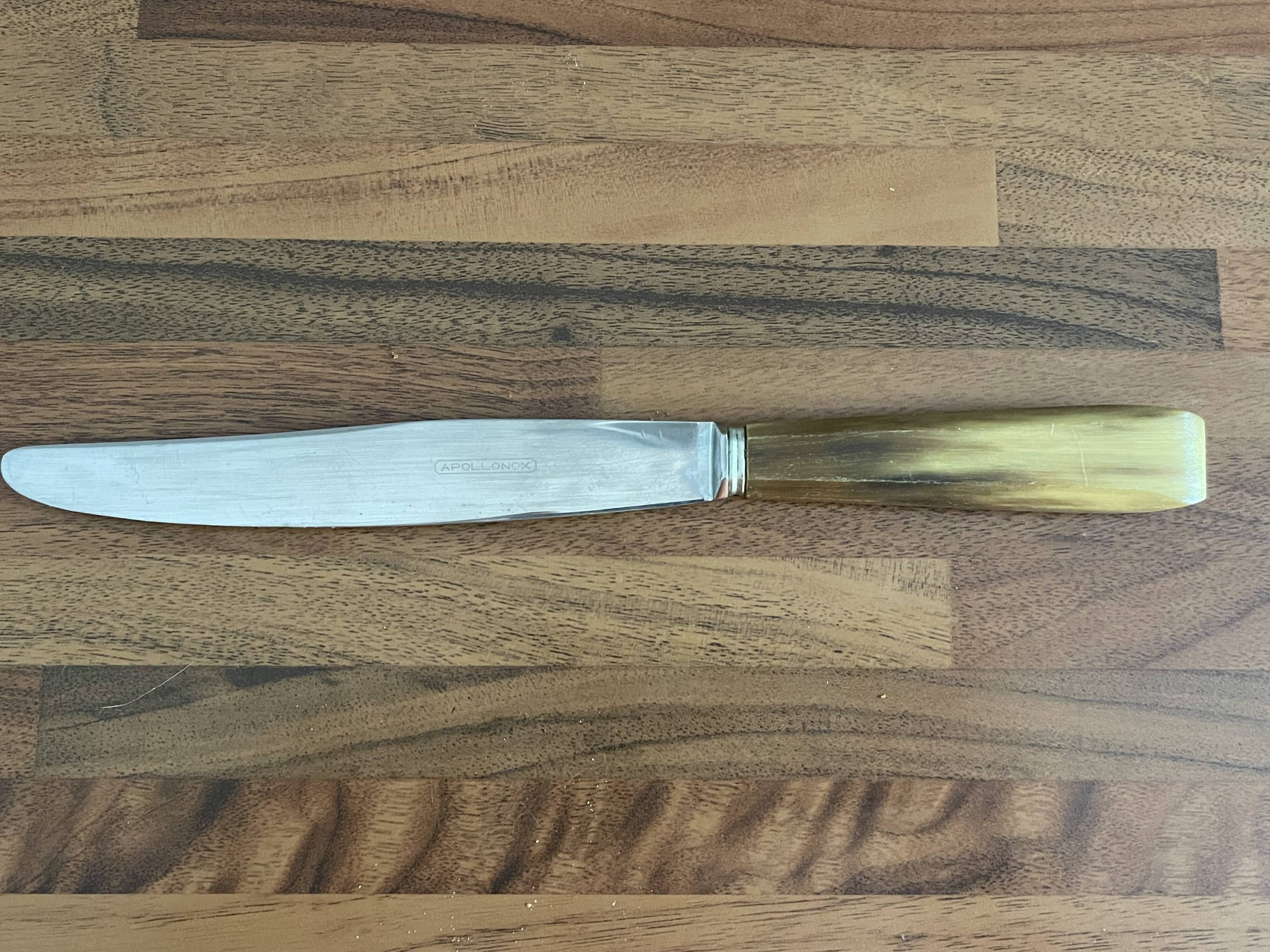 Set of 6 stainless steel knives with horn handles, Appollonox