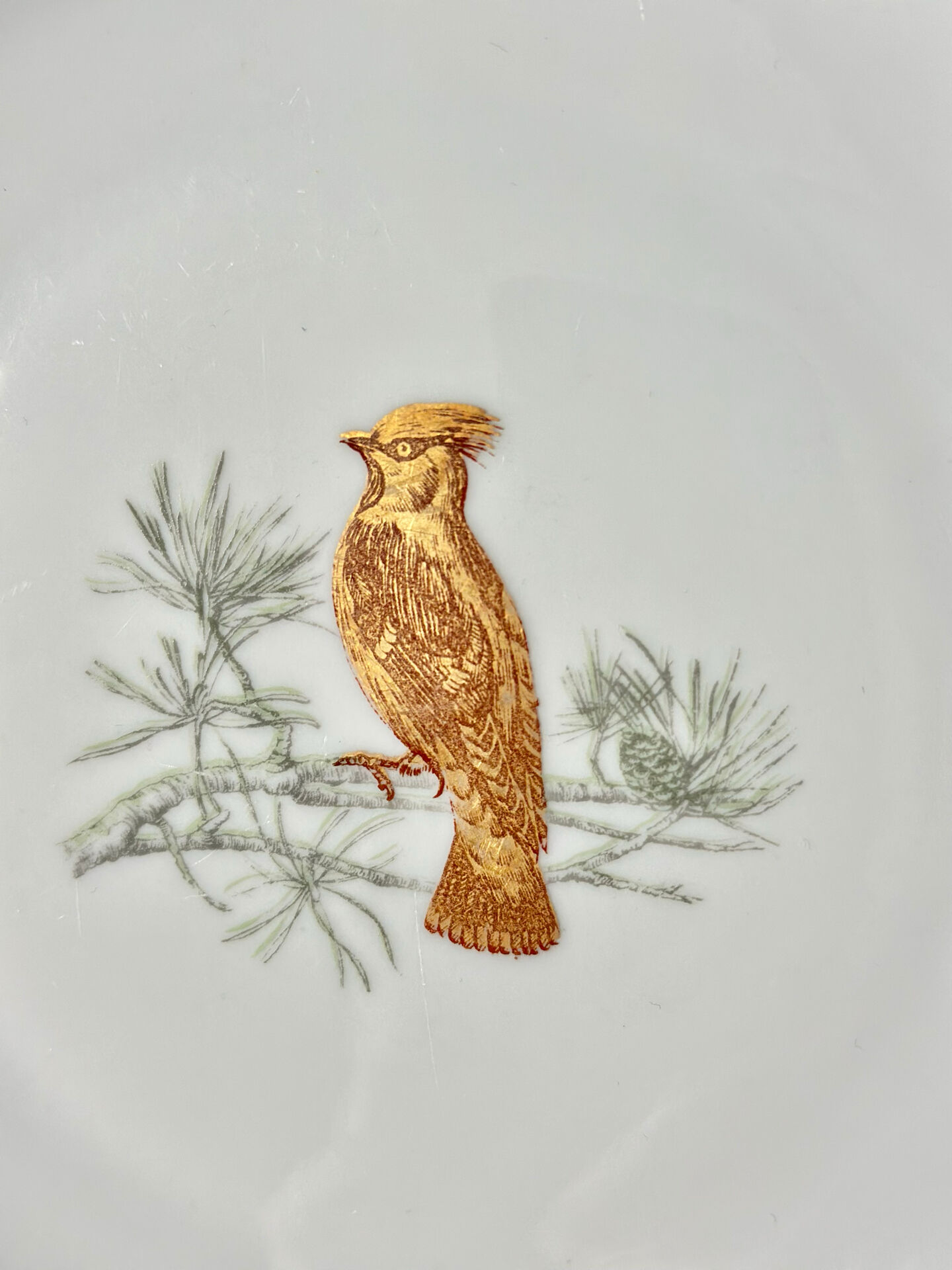 Service Bernardaud Les oiseaux d’or