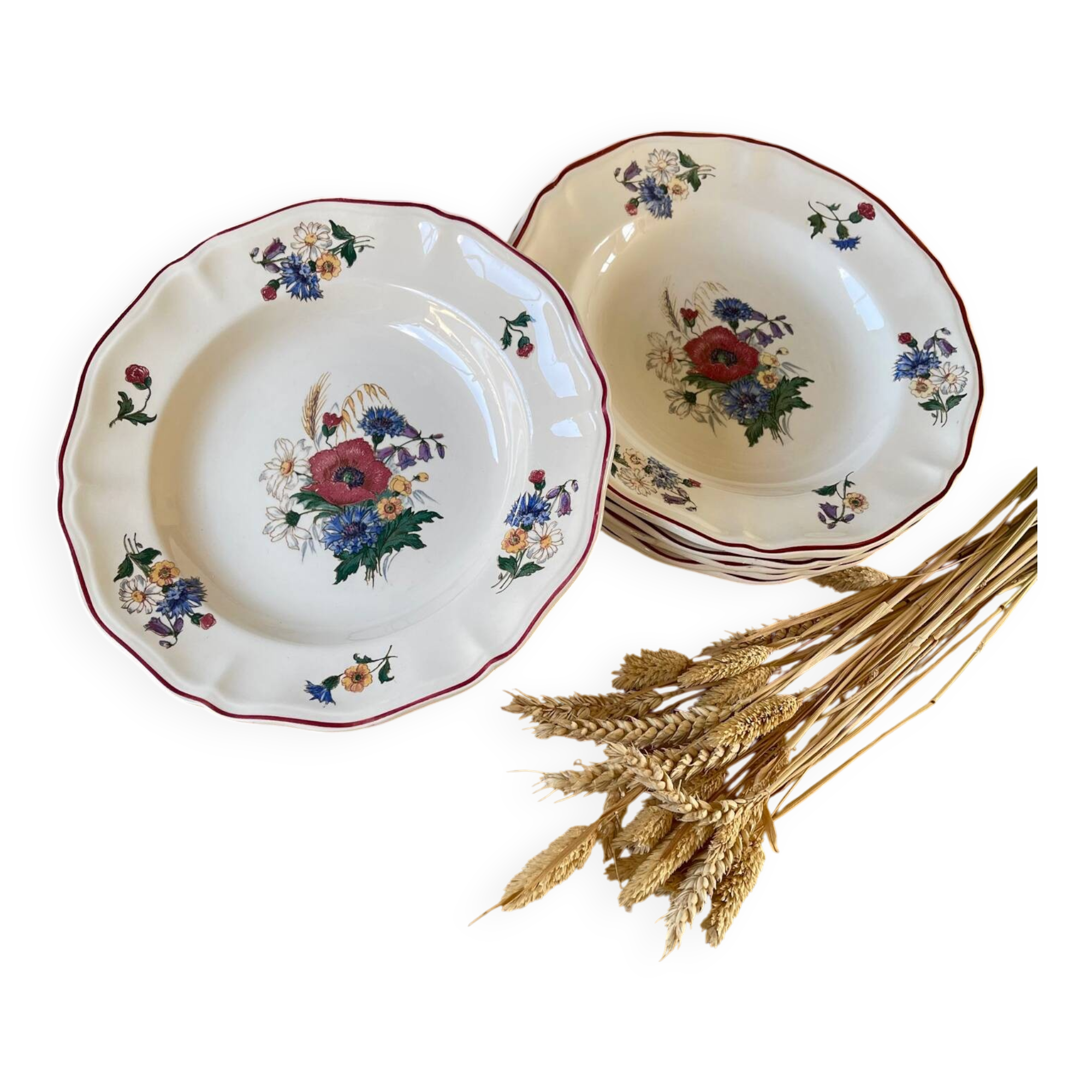 Set of 6 Sarreguemines Agreste plates
