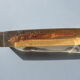 Hippocampus in taxidermy inclusion in resin block