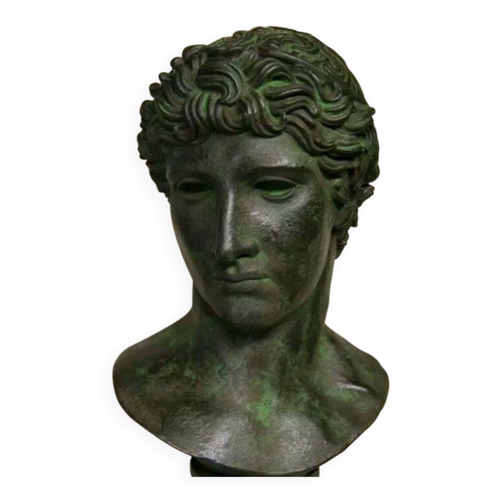 large bust of Greco-Roman Apollo, plaster with antique bronze patina