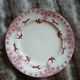 10 antique flat plates in ironstone