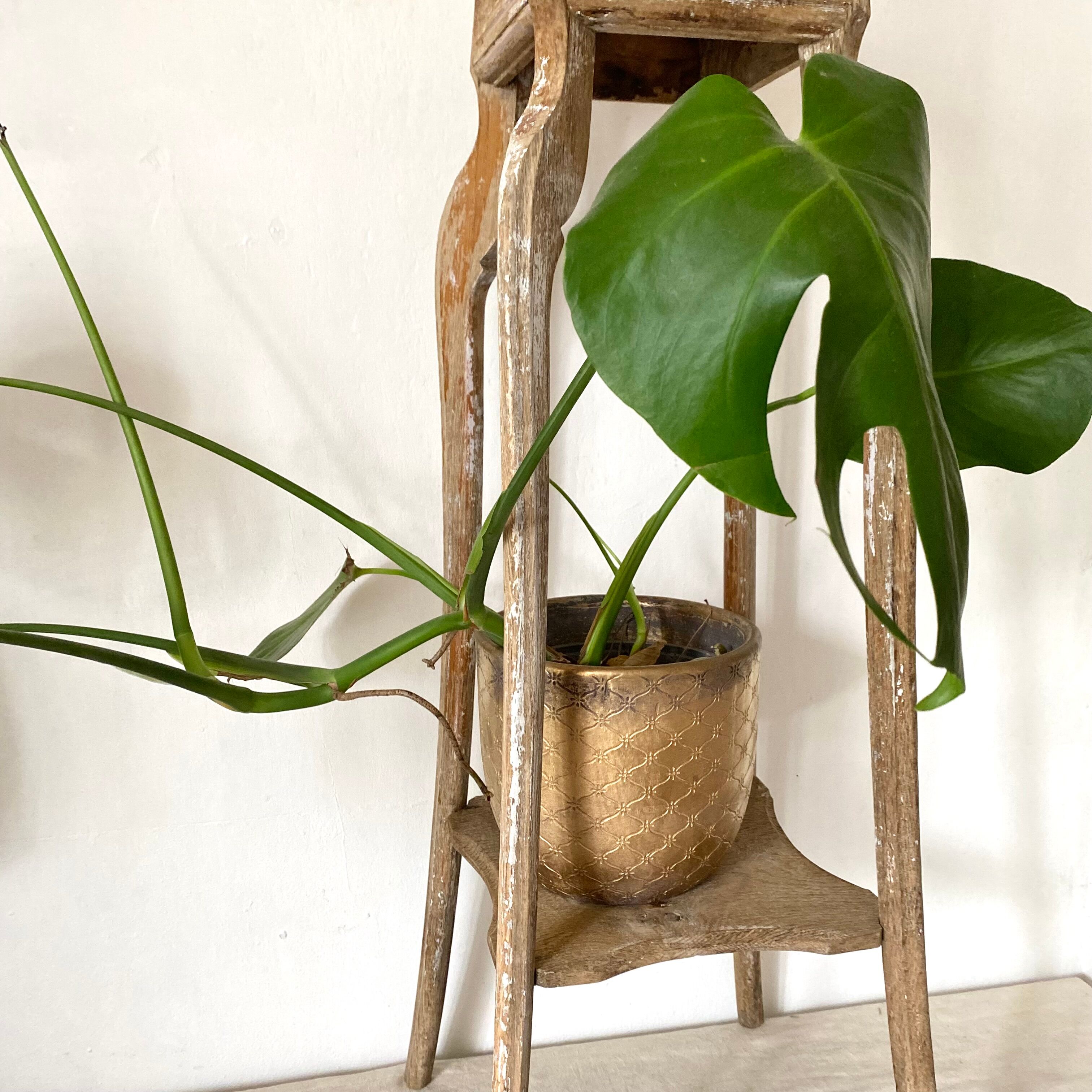 Wooden plant holder
