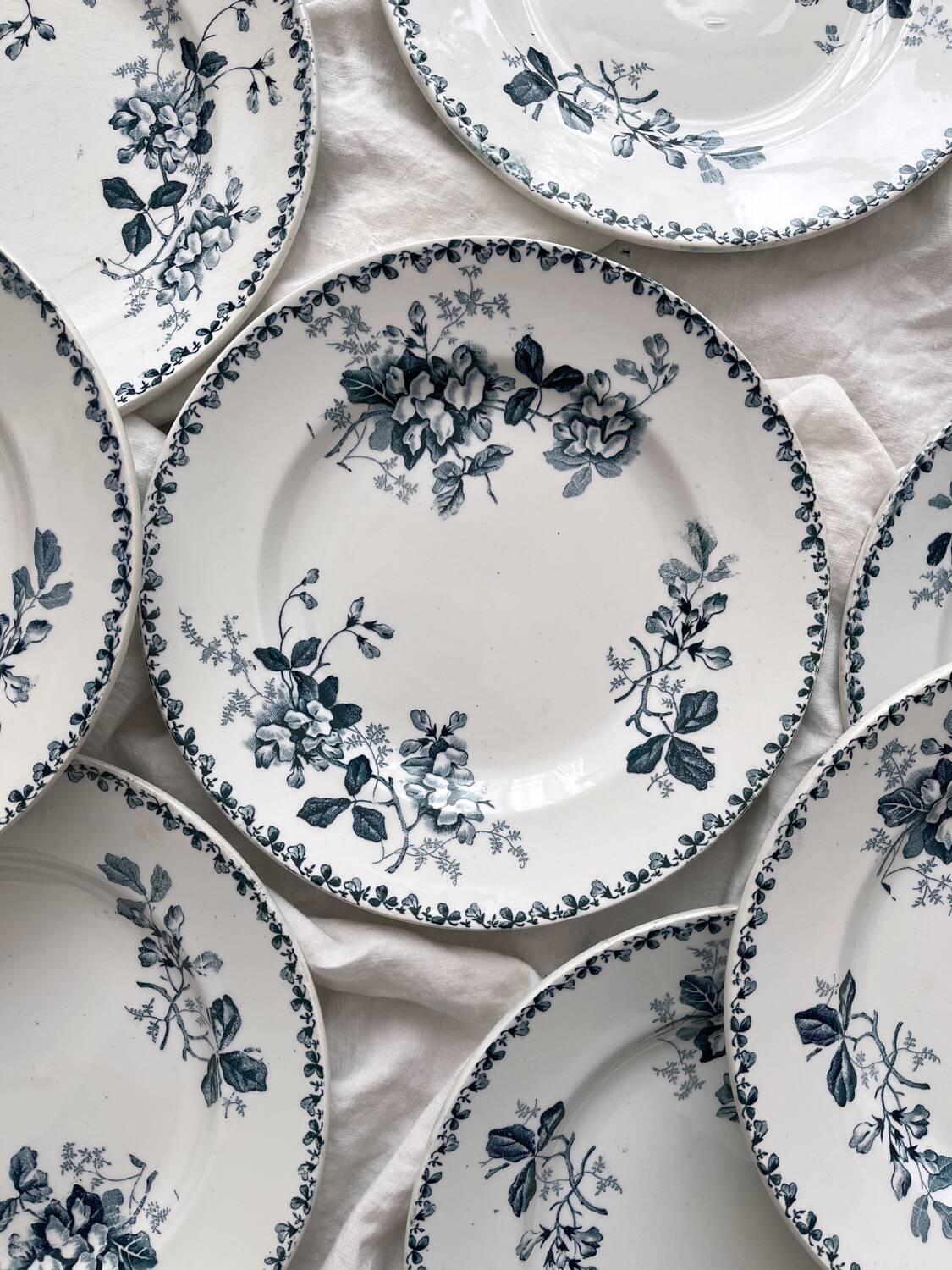 10 assiettes plates en terre de fer « Acacia » Moulin des Loups et Hamage