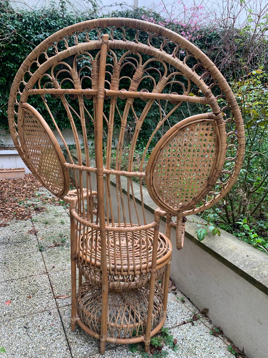 Peacock rattan armchair
