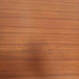 Scandinavian style table 50 year with 2 elongations