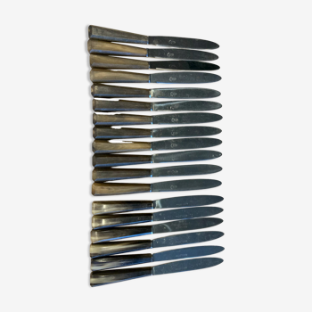 Series of 18 knives (12+6) horn handles