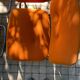 4 chair, pure year, 70 orange, metal tube, chrome