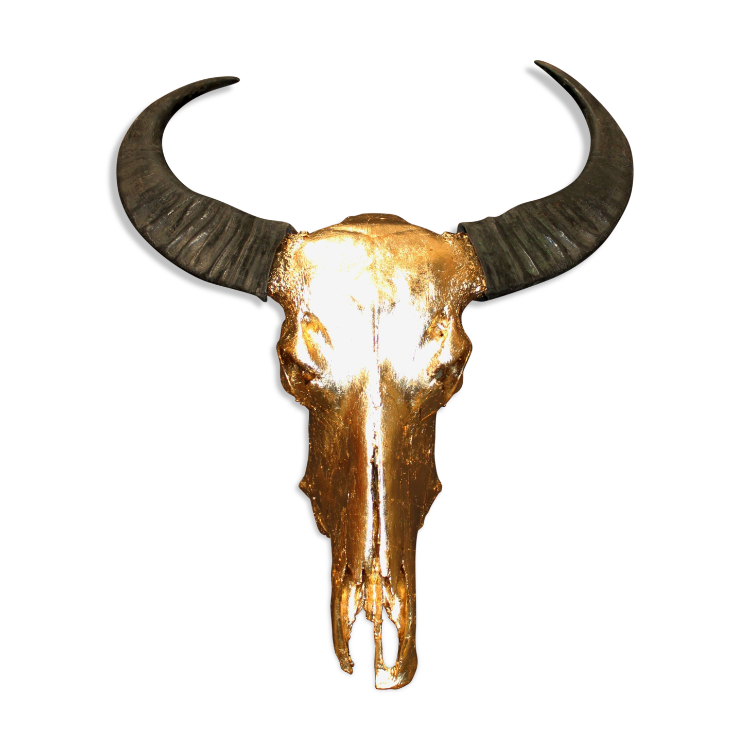 Golden buffalo skull