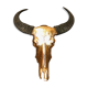 Golden buffalo skull