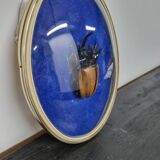 Beetle entomology box