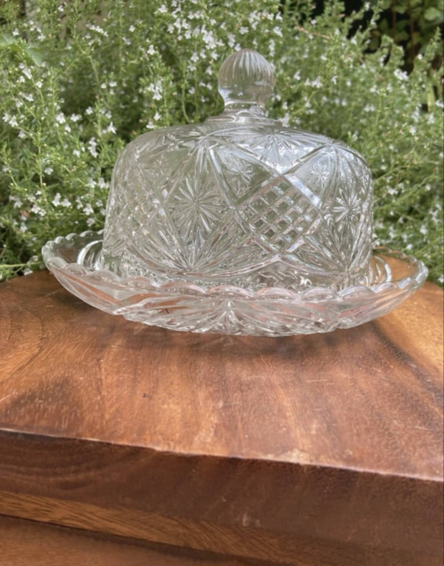 Pressed and moulded glass cheese dome