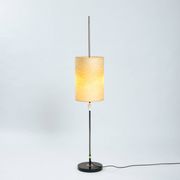 Lampadaire réglable en hauteur en résine et métal, années 1960