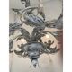 Contemporary brunish-clay florentine wrought iron leafs chandelier
