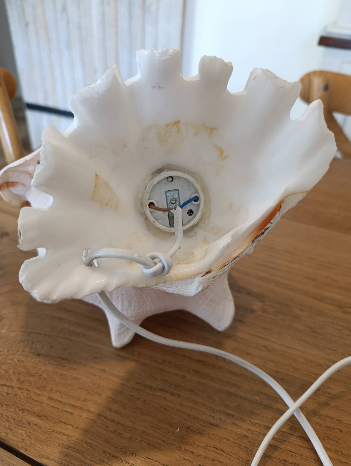 Lampe coquillage vintage
