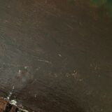 Table oil on canvas flowers