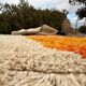 Tapis berbere coloré taille 200 x 300 cm