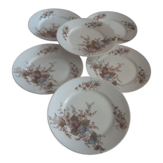 6 flat plates porcelain floral decoration with earthenware lions rue de rivoli paris