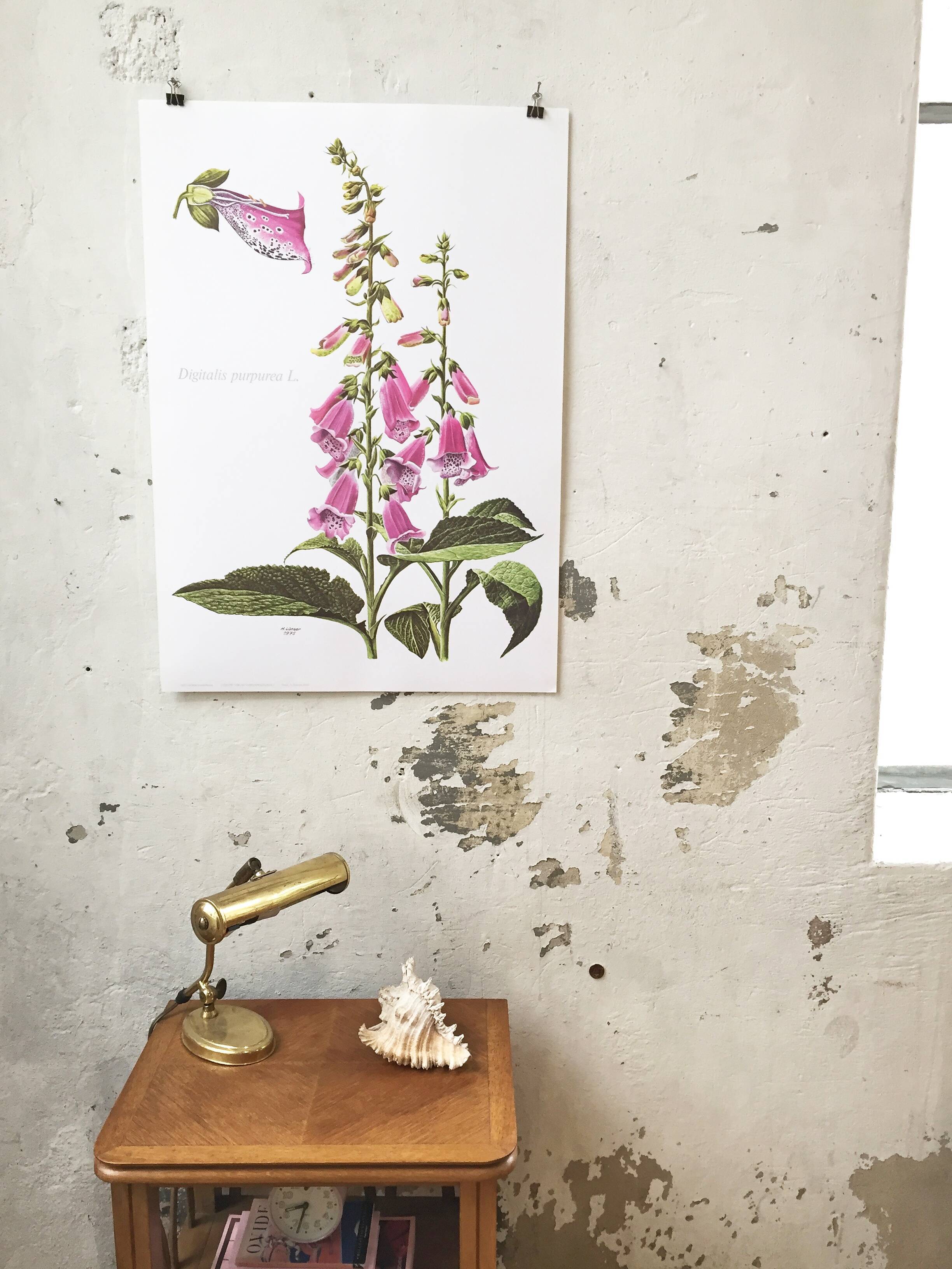 Lithographed poster pharmacy flower