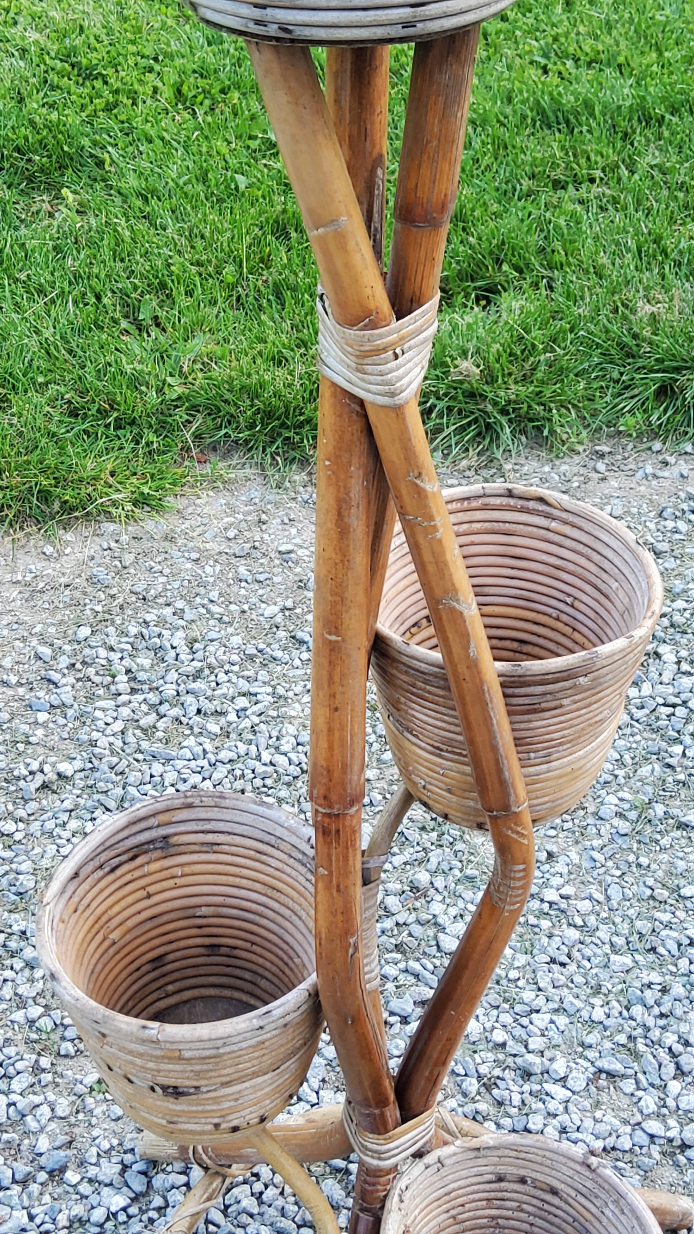 Rattan and bamboo plant holder from the 50s