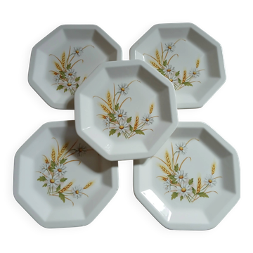 5 vintage dinner plates