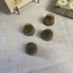 Lot de 4 petits pique-fleurs de fleuriste/Ikebana