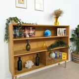 Vintage bookcase