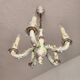 Handgeformt vergoldet vintage Porzellan Kronleuchter Capodimonte 1960er