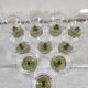 10 coupes à champagne années 30 40