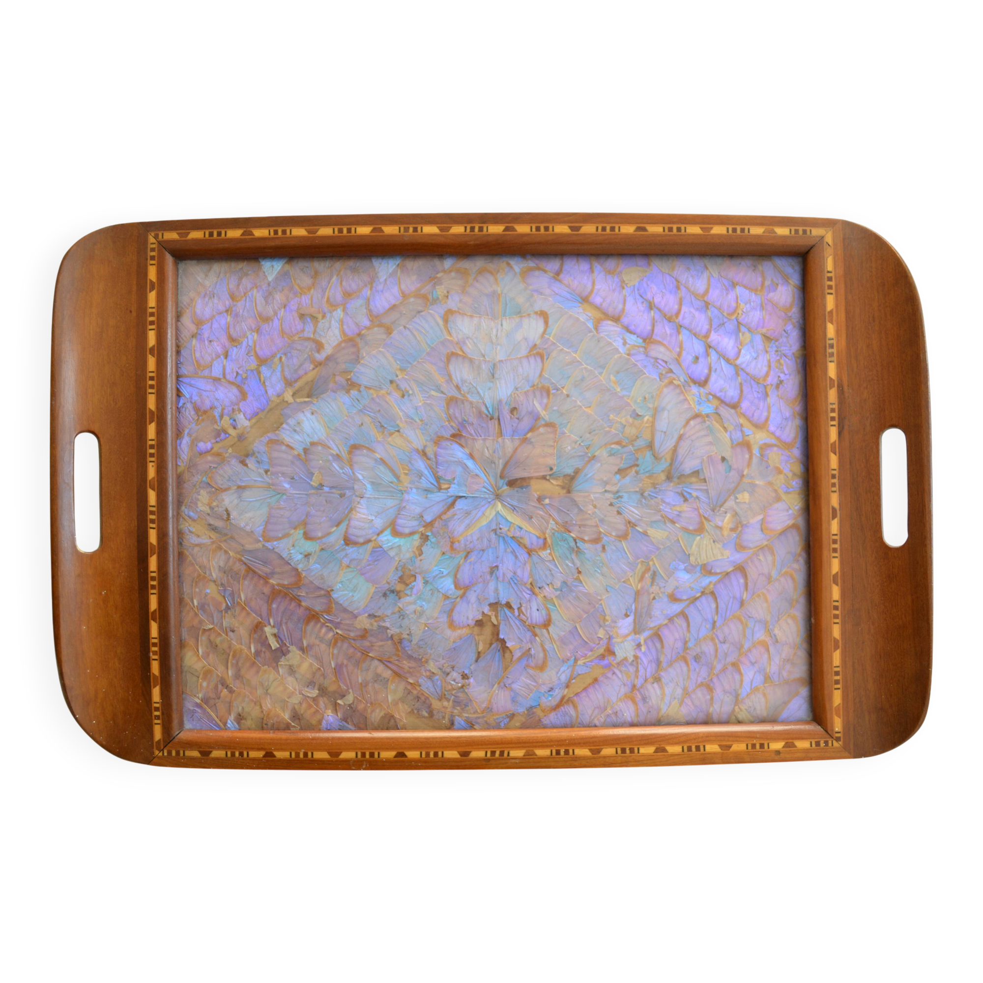 Plateau butterfly wings under glass exotic wood and marquetry Brazil
