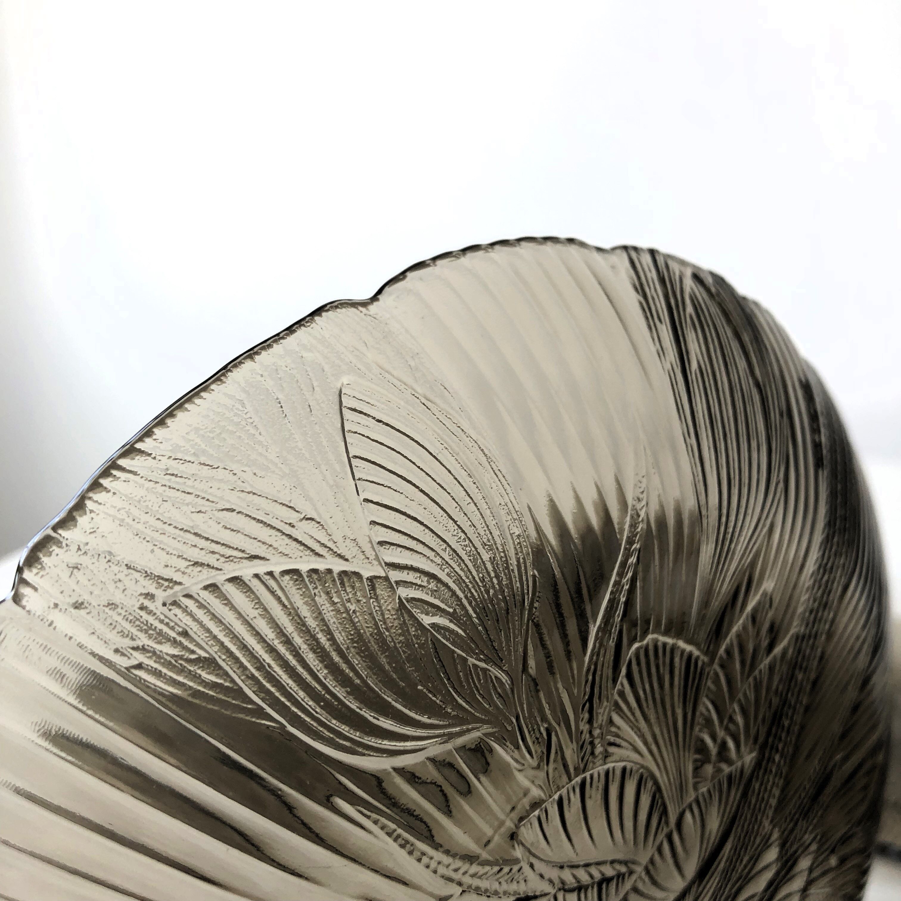 Lot 5 glass plates Arcoroc France smoked pattern flower crocus vintage CANTERBURY