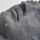 Visage antique