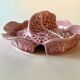 Secla soup tureen vintage pastel rose in Majolica – Cabbage model – 1970s