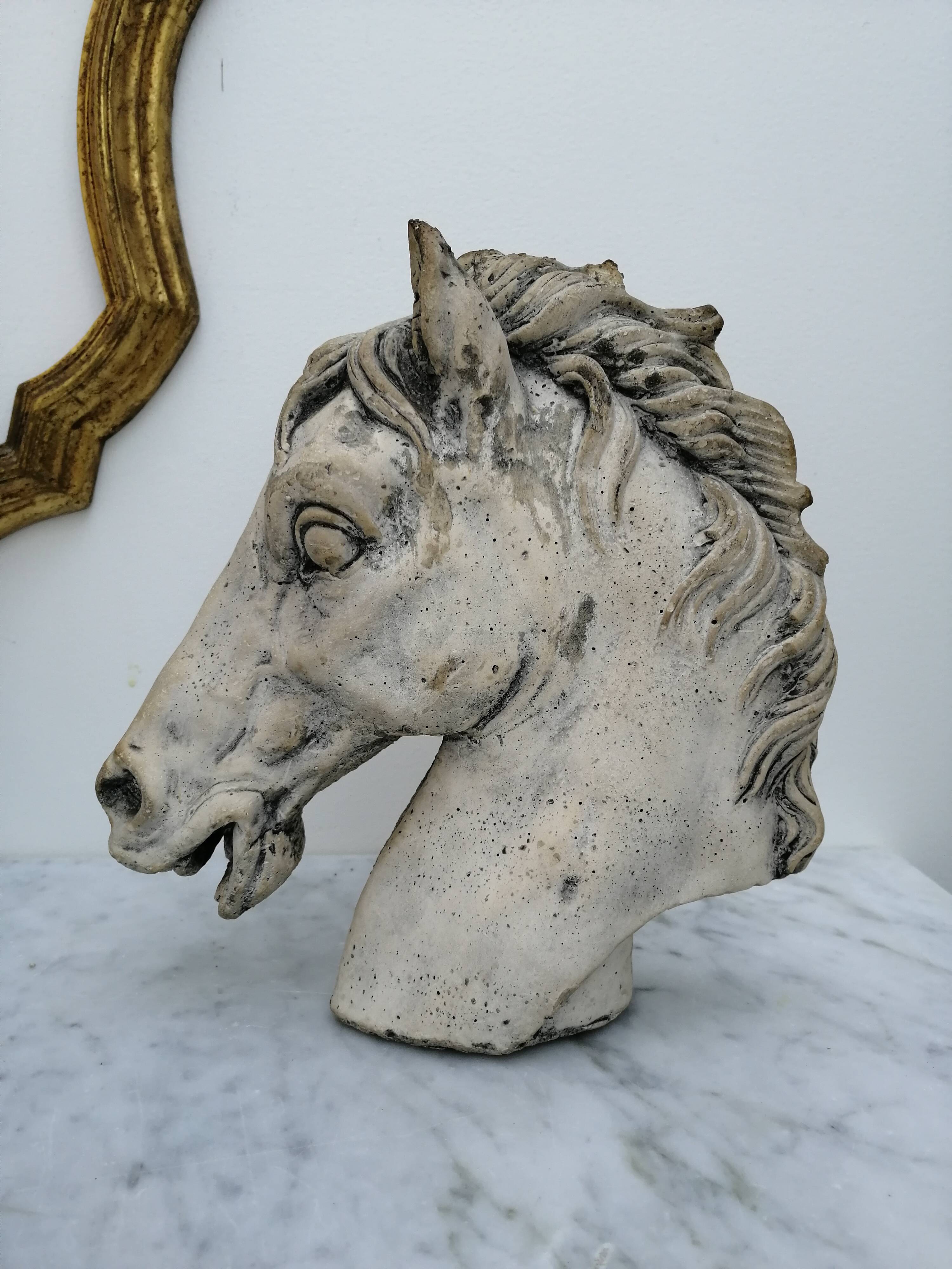 Horse heads