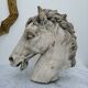 Horse heads