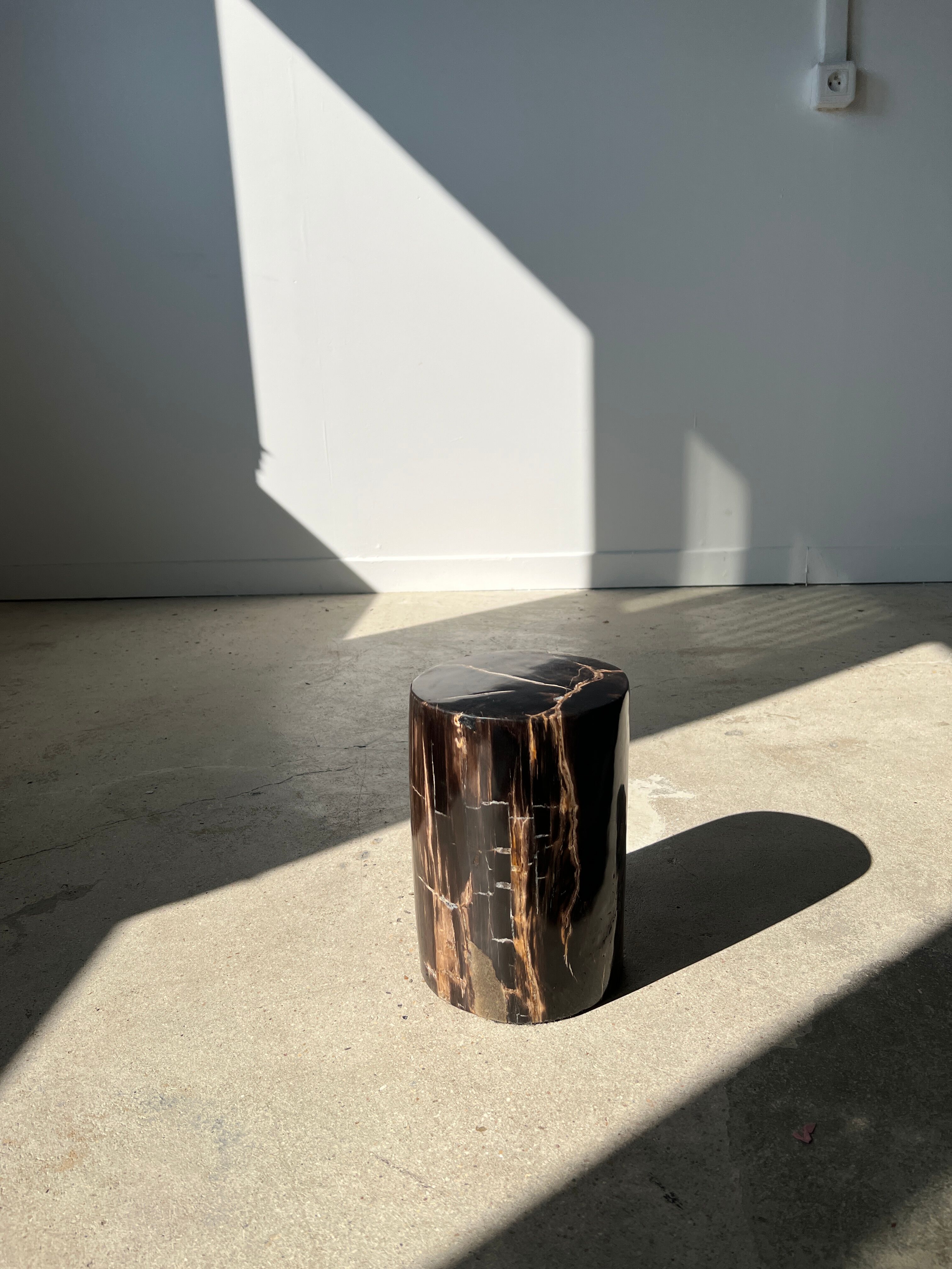 Side table in black petrified wood with light streaks h: 27,5cm d:18,5cm