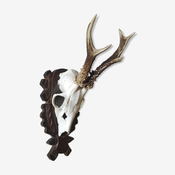 Massacre trophy hunting young deer on carved wooden crest with oak leaves and acorns