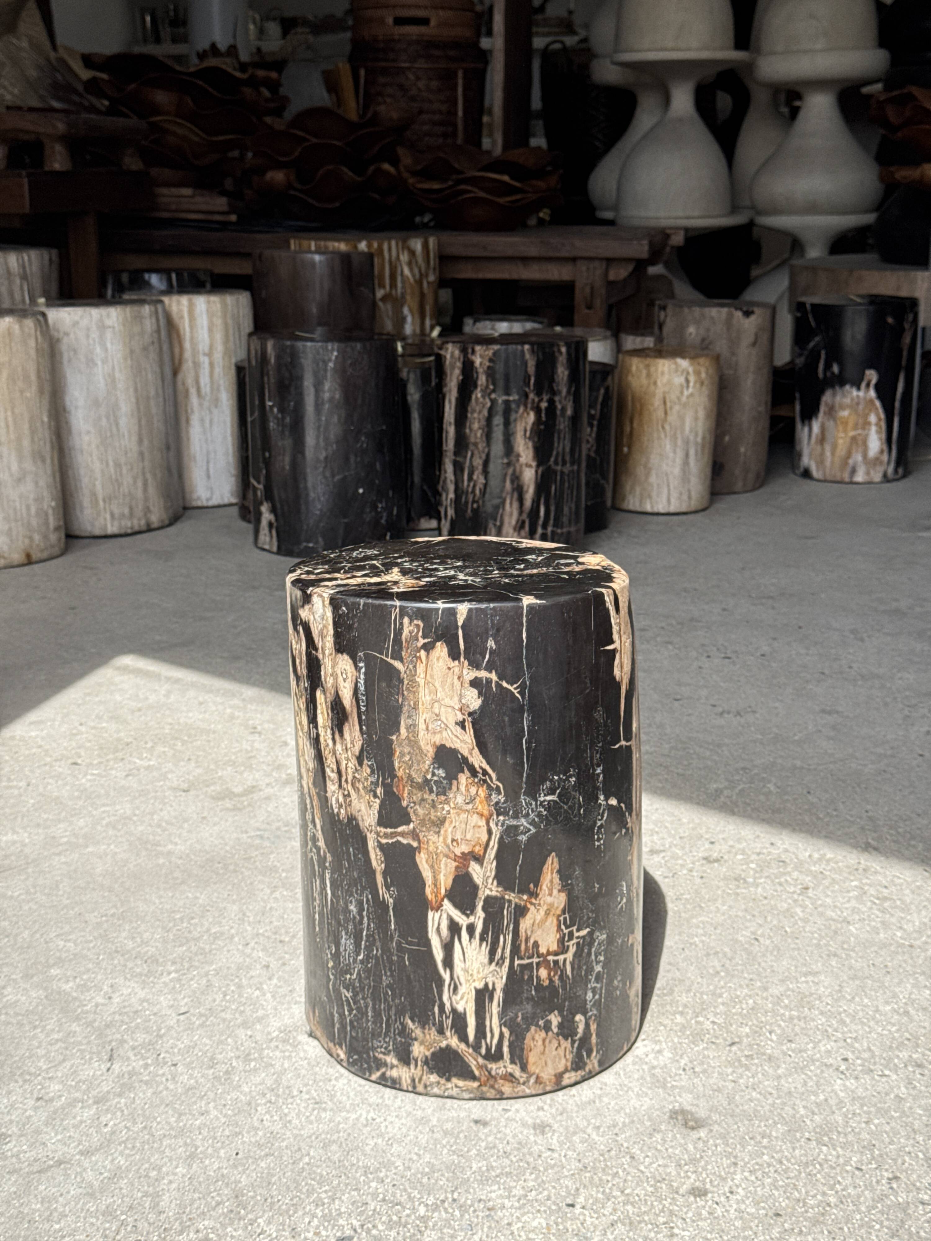Black petrified wood side table with beige side H35 D24 - 3352