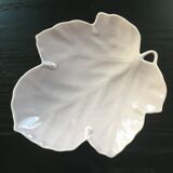 Plane tree leaf tidy