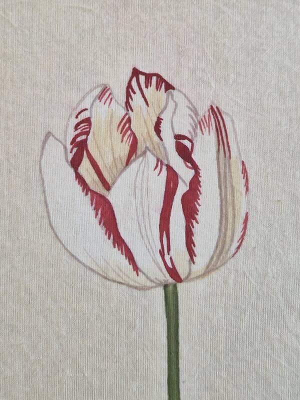 La Roche Laffitte (Born in 1943) - Watercolour drawing on silk - Tulip