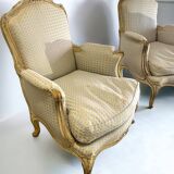 Louis XV lacquered salon from the 1900s.