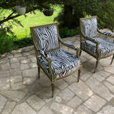 Bergere zebre